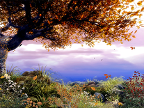 Screenshot of Autumn Tree