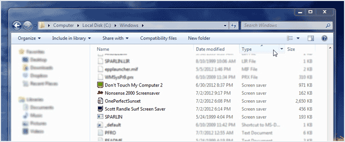 Files within the Windows folder, sorted by type