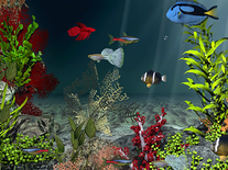 Small screenshot 2 of Aqua Coral Reefs 3D