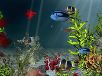 Small screenshot 3 of Aqua Coral Reefs 3D