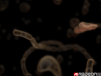 Small screenshot 2 of ATI Bacteria