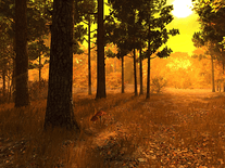 Screenshot of Autumn Forest 3D