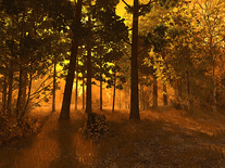 Small screenshot 2 of Autumn Forest 3D