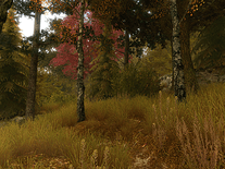 Small screenshot 2 of Autumn Walk 3D