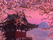 Screenshot of Blooming Sakura 3D