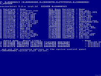 Screenshot of BSOD: Linux Installation