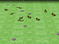 Screenshot of Butterflies
