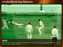 Screenshot of Cricket World Cup Moments