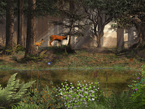 Small screenshot 2 of Deep in the Forest