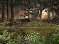 Small screenshot 3 of Deep in the Forest