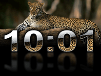 Small screenshot 1 of Digital Leopard Clock