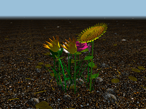 Screenshot of Flowerz