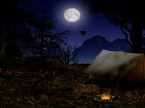 Screenshot of Forest Camp