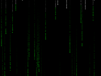Screenshot of GitHub Matrix