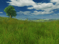Small screenshot 2 of Grassland 3D