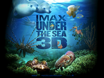Small screenshot 1 of IMAX Under the Sea