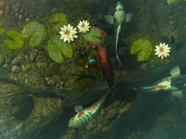 Screenshot of Koi Pond Garden 3D