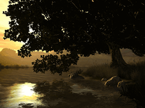 Small screenshot 2 of Lake Tree 3D