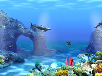 Screenshot of Living 3D Dolphins