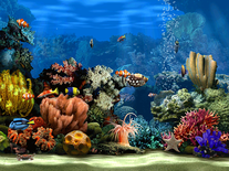 Small screenshot 1 of Living Marine Aquarium 2