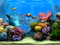 Small screenshot 3 of Living Marine Aquarium 2