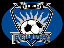 Small screenshot 3 of MLS Logos