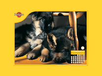 Small screenshot 1 of Pedigree Puppy Calendar