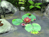 Screenshot of Water Lily