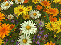 Screenshot of Wildflowers 3D