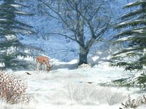Small screenshot 1 of Winter Afternoon
