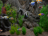 Small screenshot 2 of zz Aquarium 2