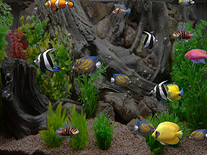 Small screenshot 3 of zz Aquarium 2