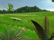 Small screenshot 2 of 3D Butterfly