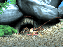 Click to enlarge Small screenshot 3 of 3D Marine