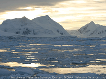 Small screenshot 2 of Antarctic Peninsula