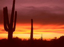 Screenshot of Arizona