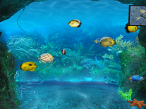 30 Aquarium Screensavers for Windows & Mac