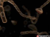 Small screenshot 1 of ATI Bacteria