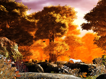 Small screenshot 3 of Autumn Forest