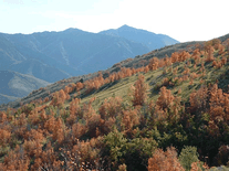 Screenshot of Autumn in Utah