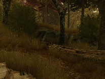 Small screenshot 3 of Autumn Walk 3D