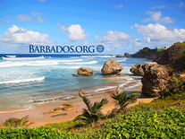 Screenshot of Barbados Beaches