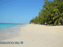 Small screenshot 3 of Barbados Beaches