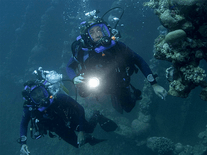Small screenshot 2 of BBC Oceans Underwater