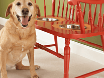 Click to enlarge Small screenshot 3 of BHG Dog Lovers