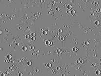 Screenshot of Craters