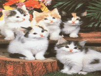 Small screenshot 3 of Cute Cats