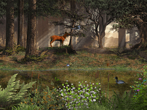 Screenshot of Deep in the Forest