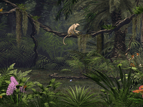Small screenshot 2 of Deep in the Jungle