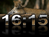 Small screenshot 2 of Digital Leopard Clock